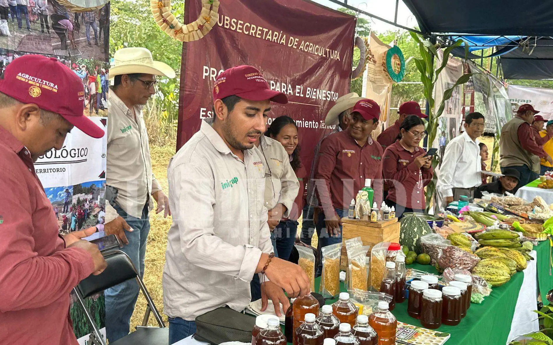 Agricultores de Ocozocoautla